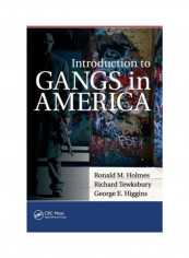 Introduction To Gangs In America Hardcover English by Ronald M. Holmes