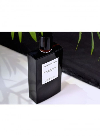Moonlight Patchouli EDP 75ml