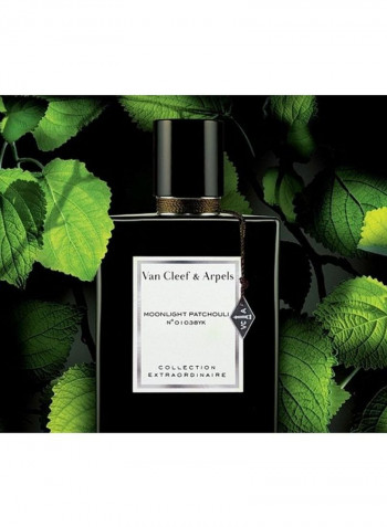 Moonlight Patchouli EDP 75ml