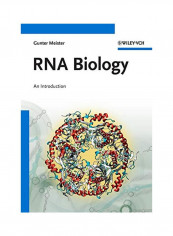 RNA Biology: An Introduction Paperback