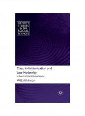 Class, Individualization And Late Modernity: In Search Of The Reflexive Worker Hardcover 2010