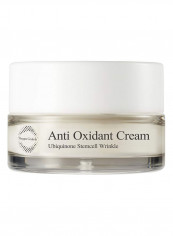 Anti Oxidant Face Moisturizer Cream 1.69ounce