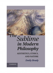 The Sublime In Modern Philosophy: Aesthetics, Ethics, And Nature Hardcover