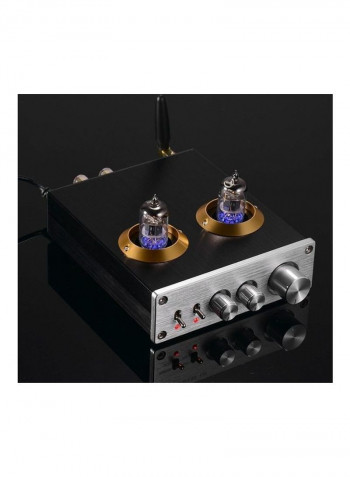 Digital Audio Power Stereo Amplifier With Dual Vacuum Tubes