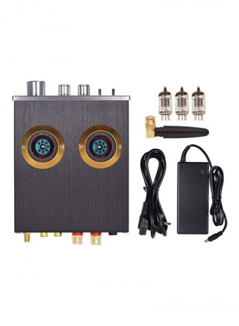 Digital Audio Power Stereo Amplifier With Dual Vacuum Tubes