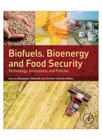 Biofuels, Bioenergy And Food Security Paperback 1st Edition