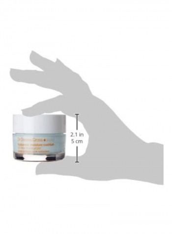 Gross Hyaluronic Moisture Cushion 1.7ounce