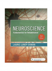 Neuroscience : Fundamentals For Rehabilitation Paperback 5