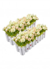 2-Piece Artificial Rose Flower Plant in Picket Fence Pot Multicolour reviews 2-Piece Artificial Rose Flower Plant in Picket Fence Pot Multicolour