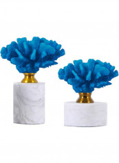 Marble crystal coral ornaments Mediterranean jewelry(C) multicolour 270*560millimeter