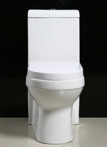 Standard Sanitary Ware WC Ceramic Nano Washdown Siphonic Toilet White 690x370x810millimeter