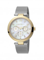 Women's Classic Analog Quartz Watch  ES.1L213M1025
