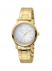 Women's Classic Analog Quartz Watch  ES.1L188M1045