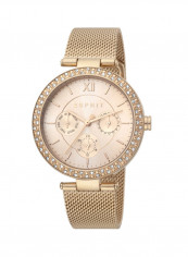 Women's Classic Analog Quartz Watch  ES.1L189M0095