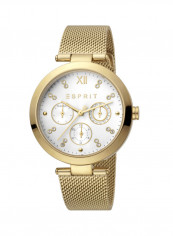 Women's Classic Analog Quartz Watch  ES.1L213M0065