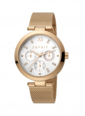 Women's Classic Analog Quartz Watch  ES.1L213M0075