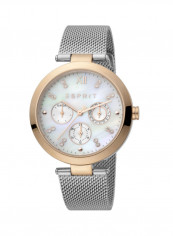 Women's Classic Analog Quartz Watch  ES.1L213M1035