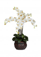 Decorative Phalaenopsis Flower With Vase White/Green/Brown reviews Decorative Phalaenopsis Flower With Vase White/Green/Brown