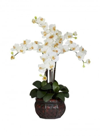 Decorative Phalaenopsis Flower With Vase White/Green/Brown