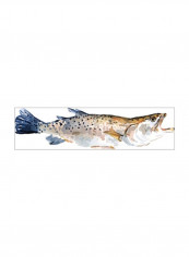 Freckled Trout II Wall Poster Brown/Grey/White 90x75x3.5centimeter