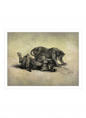 Big Cats II Wall Poster Grey/Beige/Black 90x80x3.5centimeter