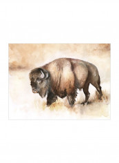 Buffalo Roam I Wall Poster Brown/White 90x80x3.5centimeter