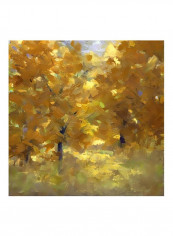 Cottonwoods Poster Yellow 80x80x3.5centimeter