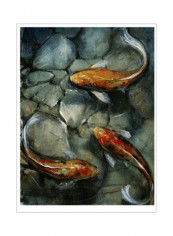 Tres Koi I Wall Poster Black/Grey/Orange 80x90x3.5centimeter