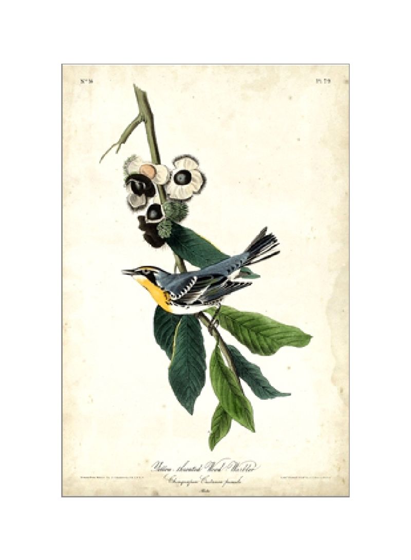 Yellow-throated Wood Warbler Wall Poster Beige/Green/Yellow 80x90x3.5centimeter