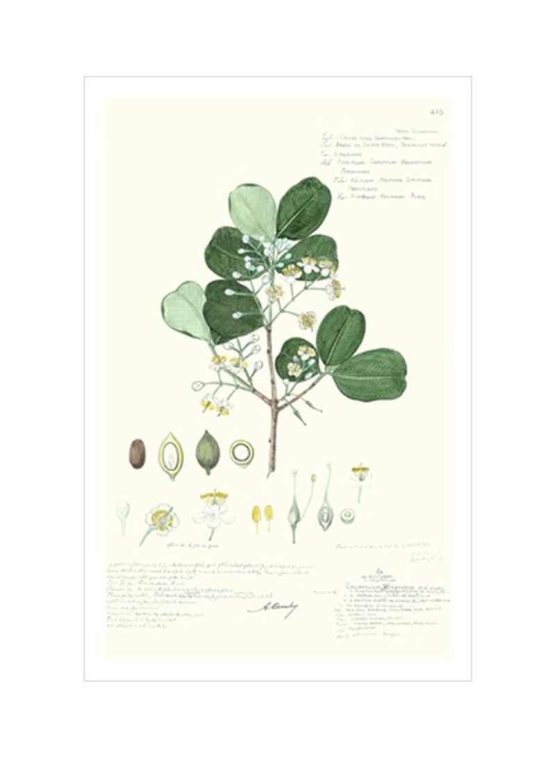 Delicate Descubes II Wall Poster Green/Yellow/White 80x90x3.5centimeter