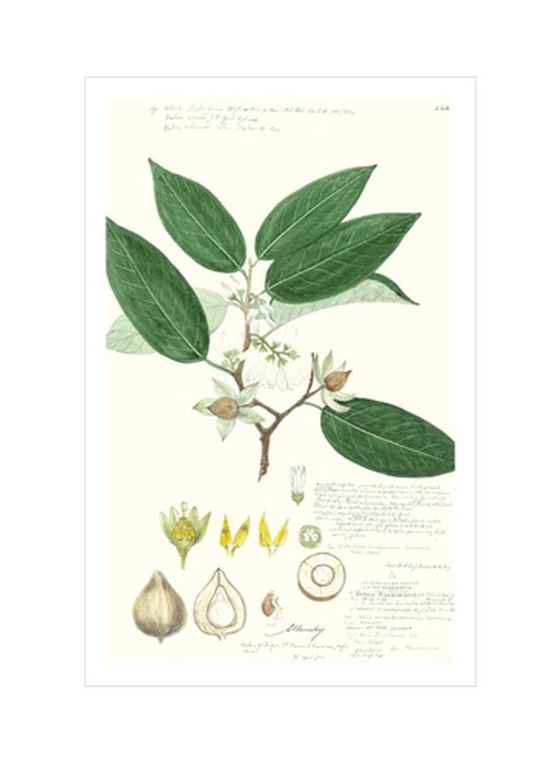 Descubes Fruit IV Wall Poster Green/White/Beige 80x90x3.5centimeter