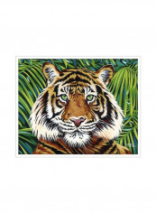Wild Beauties III Poster Brown/Green/White 85x80x3.5centimeter