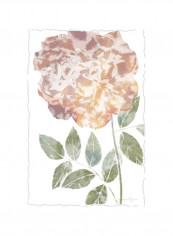 Watercolor Bloom III Wall Poster Brown/Green 80x90x3.5centimeter