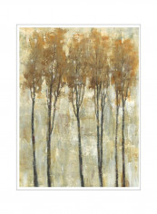 Standing Tall In Autumn I Poster Beige/Grey 80x90x3.5centimeter