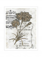 Petite Beaute III Poster Brown/White/Black 80 x90 x3.5centimeter
