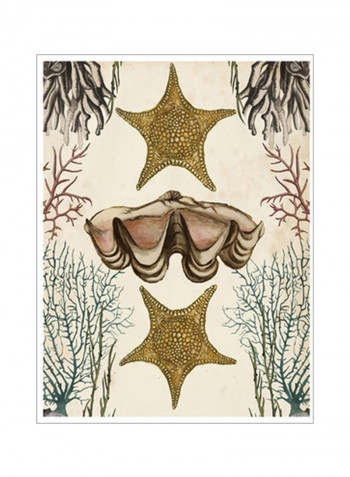 Antiquarian Menagerie Starfish Poster Beige/Green/Yellow 80x90x3.5centimeter
