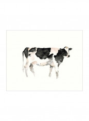 Farm Animal Study II Wall Poster Grey/Black 85x3.5x80centimeter