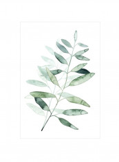 Serene Reed II Wall Poster White/Green 80x90x3.5centimeter