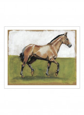 Equestrian Studies III Wall Poster Brown/Green/Blue 85x80x3.5centimeter