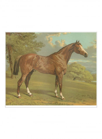 Cassells Thoroughbred I Poster Green/Brown/Blue 85x80x3.5centimeter