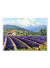 Fields of Lavender Canvas Wall Poster Purple/Blue 90x80x3.5centimeter
