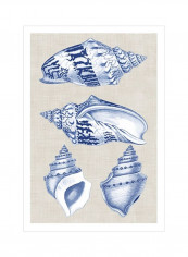 Navy And Linen Shells II Wall Poster Beige/Blue/White 80x90x3.5centimeter