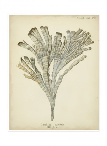 Coral Collection I Wall Poster Beige 90x80x3.5centimeter