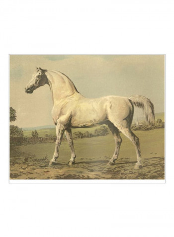 Cassells Thoroughbred II Poster Green/Brown/Blue 85x80x3.5centimeter