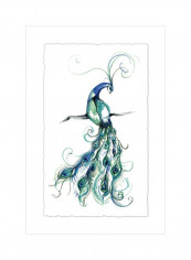 Aquarelle Peacock I Wall Poster White/Green/Blue 80x95x3.5centimeter