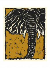 Serengeti II Poster Black/Yellow/White 70x90x3.5centimeter