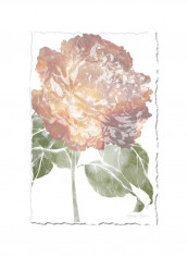 Watercolor Bloom I Wall Poster Brown/Green 80x90x3.5centimeter