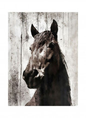 Le Muse II Poster Brown 80x90x3.5centimeter