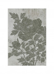 Blooming Peony II Wall Poster Grey 80x3.5x90centimeter