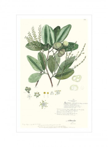Delicate Descubes III Wall Poster Green/Yellow/White 80x90x3.5centimeter
